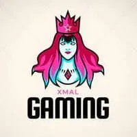 Xmal Gaming Mod Menu